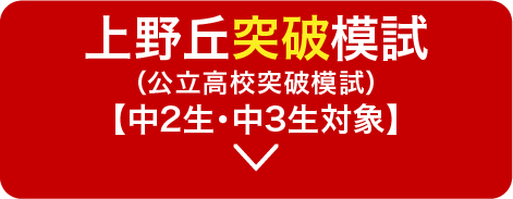 上野丘突破模試